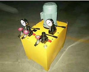 武汉非标电动泵生产